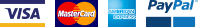 Payments Logo