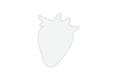 3.875x5.125 Strawberry 