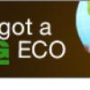 Affordable Eco-Friendly Printing for Businesses